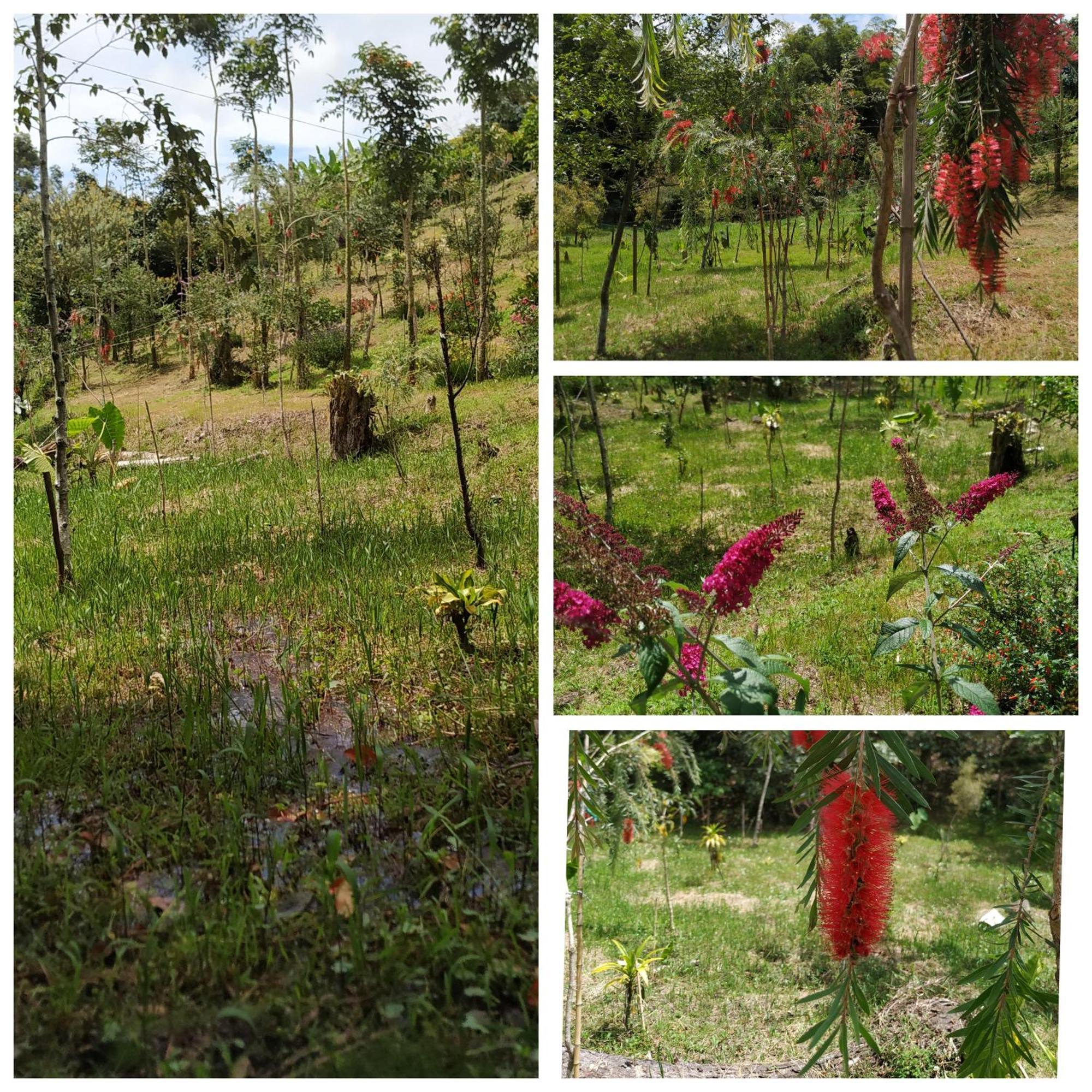 San Jose De Bromelias Marinilla